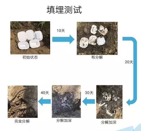 降解图.jpg
